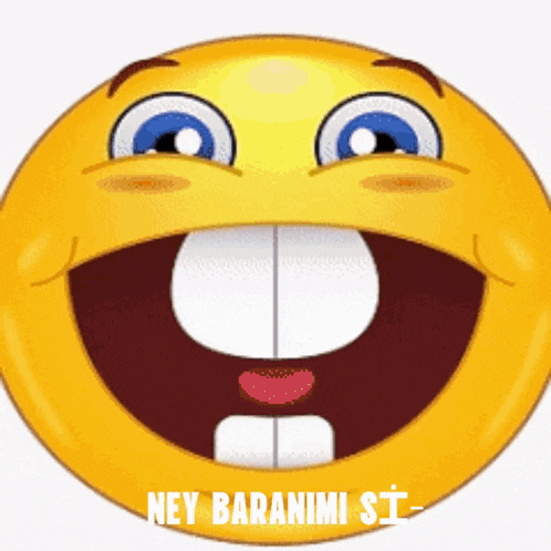 a smiley face with a big smile and the words ney baranimi si written below it
