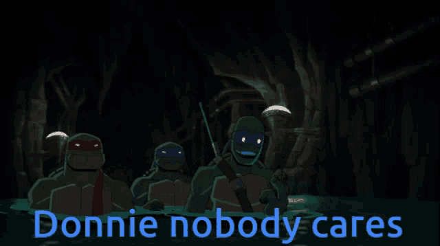 a group of teenage mutant ninja turtles with the words donnie nobody cares in blue
