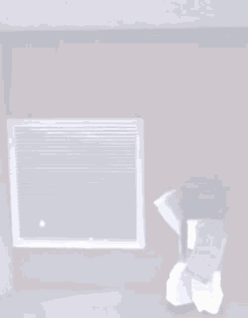 a minecraft character is standing in front of a window