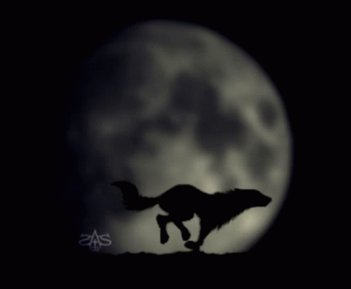 The Wolf GIF - The Wolf GIFs