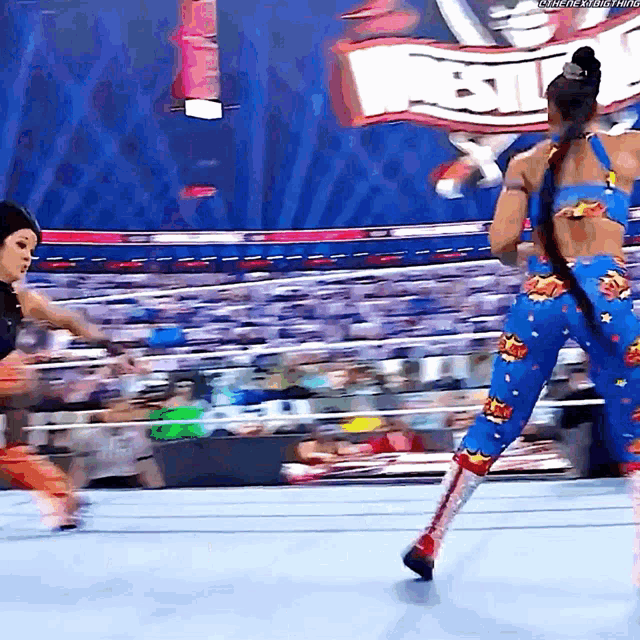 two women are wrestling in a ring with a sign that says ' nbt ' on it