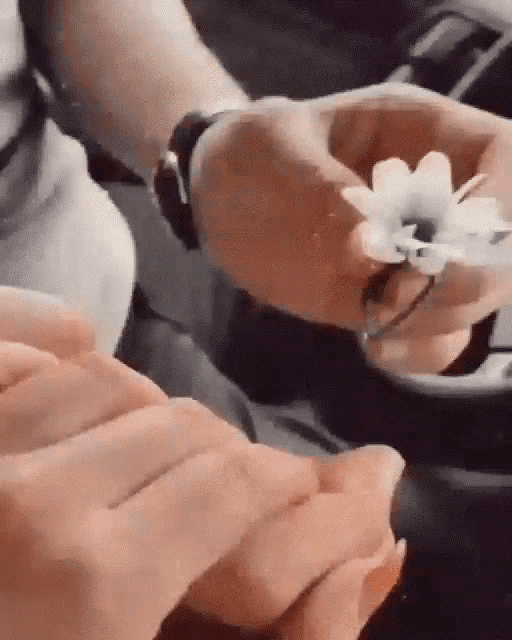 a person is holding a flower in their hands while another person holds a flower in their hand .