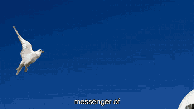 a picture of an airplane with the words " messenger of " on it