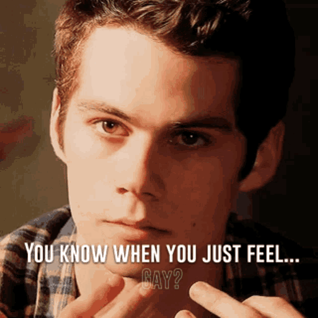 a close up of a man 's face with the words " you know when you just feel gay "