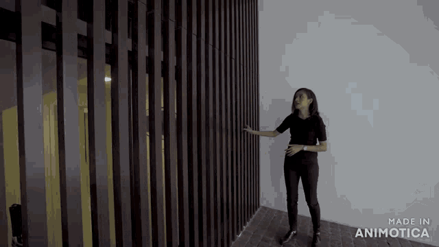 a woman is standing in front of a wall made in animotica