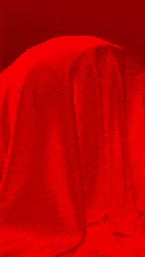 a red background with the words keluarga noesantara written on it