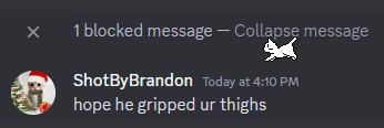 a screenshot of a blocked message that says collapse message