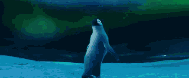a penguin with a red beak stands in the water