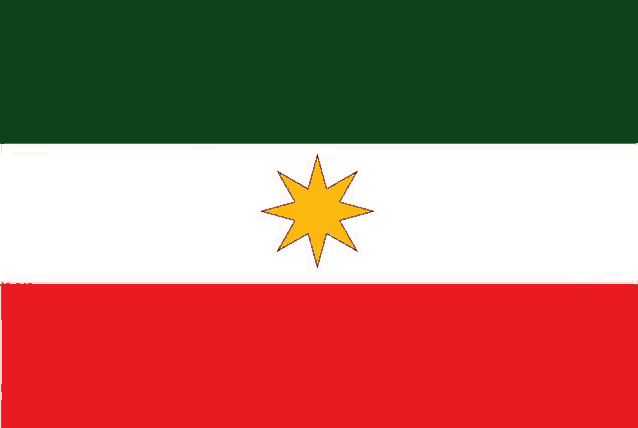 a green white and red flag with a yellow star in the center