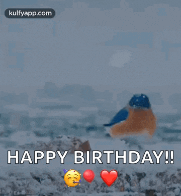 a happy birthday greeting with two birds in the background