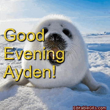 a seal says " good evening ayden " in yellow letters