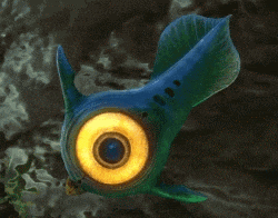 a blue and green fish with a yellow eye is floating in the water .