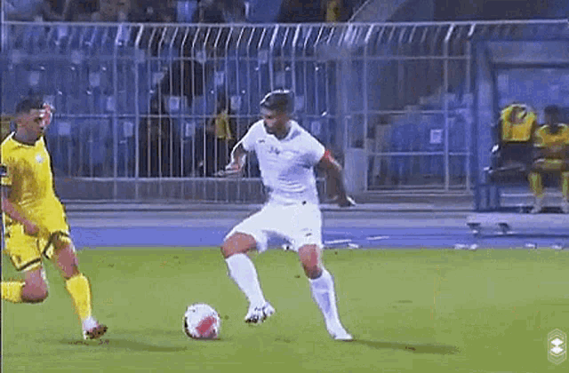 two soccer players are playing a game of soccer on a soccer field .
