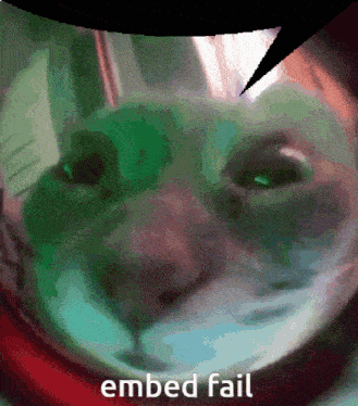 Embed Fail Cat Quote GIF - Embed Fail Cat Quote Cat GIFs