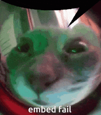 a close up of a cat 's face with a speech bubble that says " embed fail "