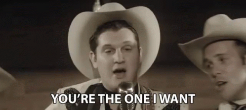 Youre The One I Want Singers GIF - Youre The One I Want Singers Cowboy Hats GIFs