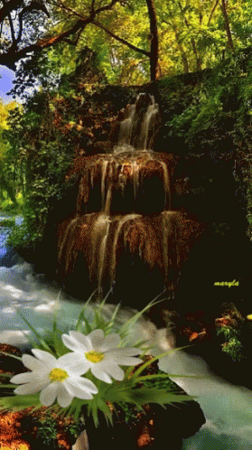 Nature Waterfall GIF - Nature Waterfall GIFs
