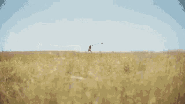 a grassy hillside with trees on the top of it
