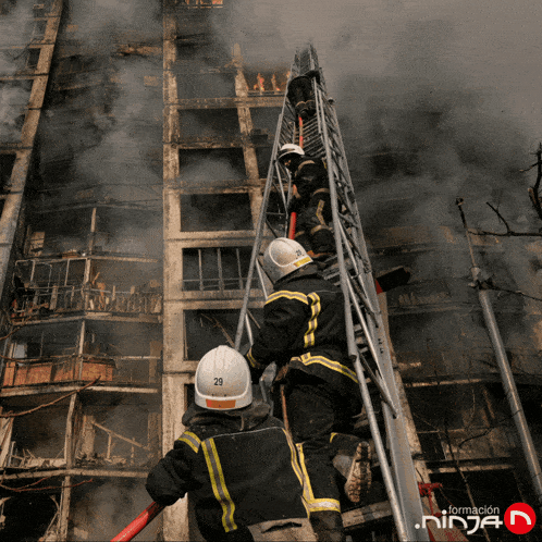 two firefighters climb up a ladder with the number 29 on their helmets