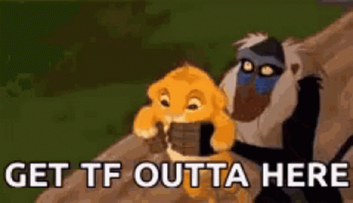Get The Fuck Outta Here Simba GIF - Get The Fuck Outta Here Simba Lion GIFs