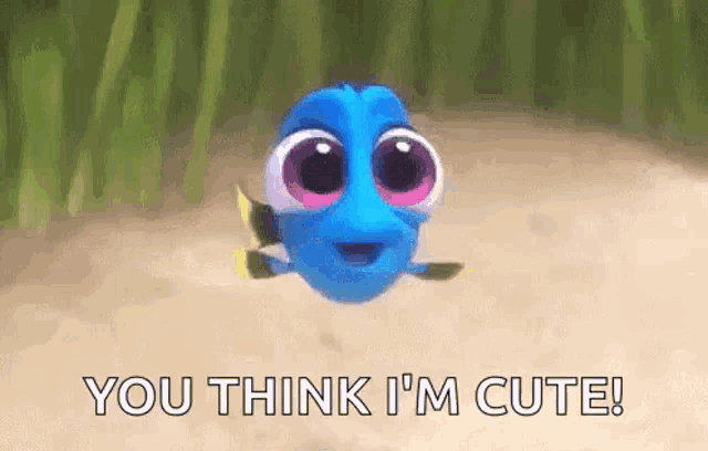dory from the movie finding dory is flying through the air and saying `` you think i 'm cute '' .