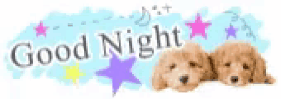 two puppies are sitting next to each other on a blue background with the words `` good night '' written on it .
