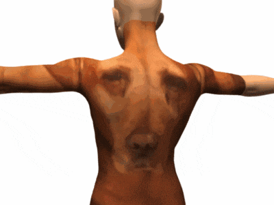the back of a man with a dog face on it