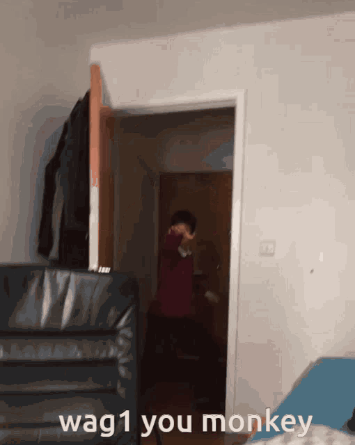 a person standing in a doorway with the words wag1 you monkey on the bottom