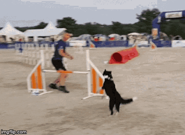 Fly Like A Master Flying World Champion GIF - Fly Like A Master Flying World Champion Agility GIFs