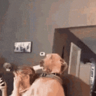 a dog is licking a woman 's face in a living room while a woman holds a cell phone .