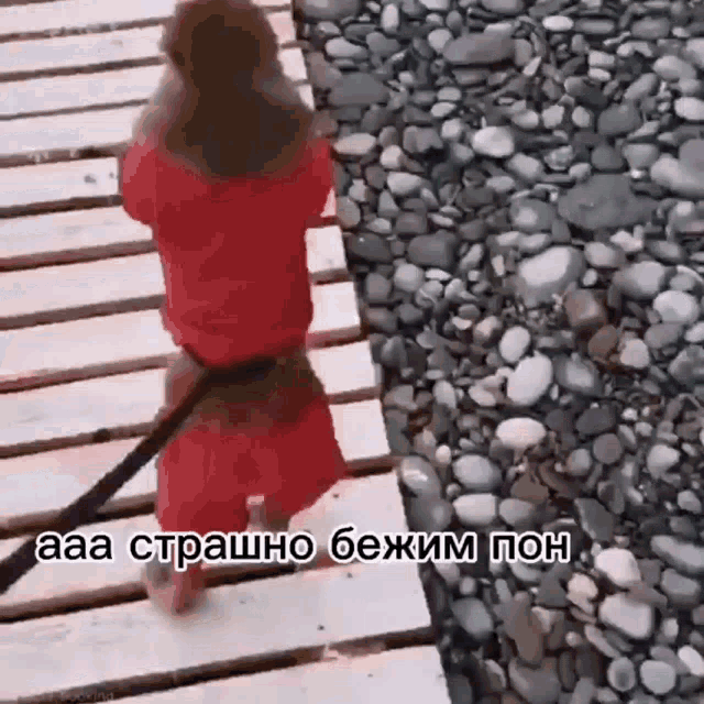 a person in a red dress is walking a dog on a leash on a wooden bridge .