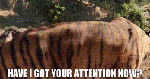 The Jungle Book Shere Khan GIF - The Jungle Book Shere Khan Have I Got Your Attention Now GIFs
