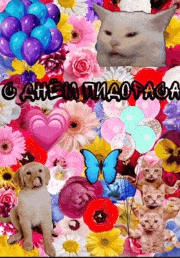 a collage of flowers and balloons with a cat in the center
