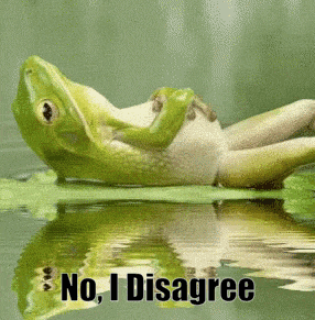 a frog is laying on a leaf in the water with the words " no i disagree " below it