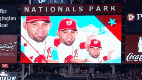 Nationals Babyshark GIF - Nationals Babyshark Baseball GIFs