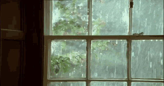 a window with a view of a tree and rain coming through the window .