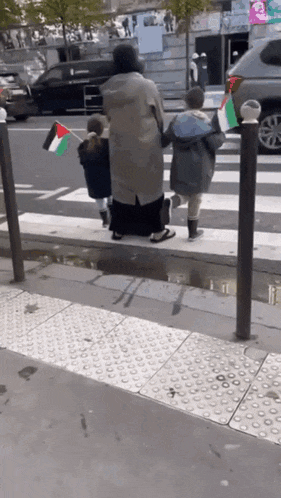 a woman holding two children 's hands while walking across a street