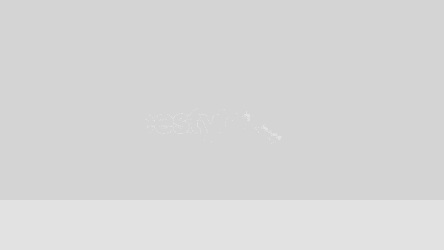 a white computer monitor with the words " the freestyle " written on it