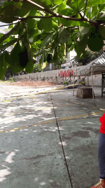 a person in a red shirt is standing in a parking lot with a fence and a sign that says ' daa '
