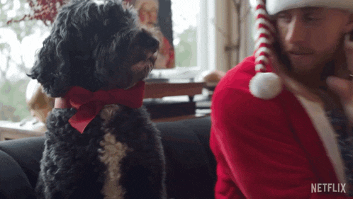 a man in a santa hat sits next to a dog wearing a red bow