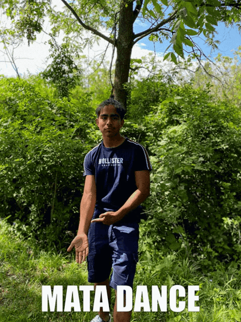 a man in a hollister shirt is standing in a forest