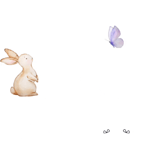 a rabbit with a butterfly on its nose and the words my pleasure