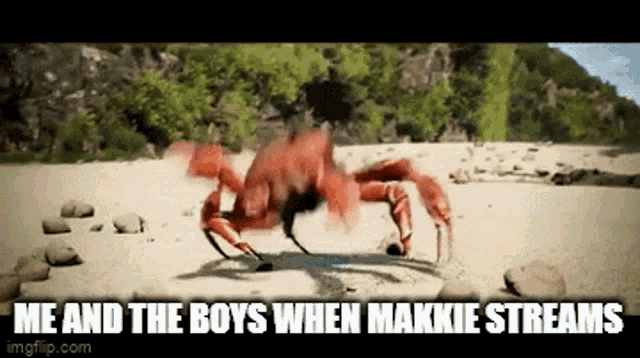 a crab is crawling on a sandy beach with the caption me and the boys when makkie streams