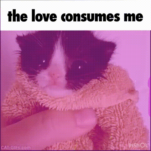 a black and white cat is wearing a pink sweater and a pink background .