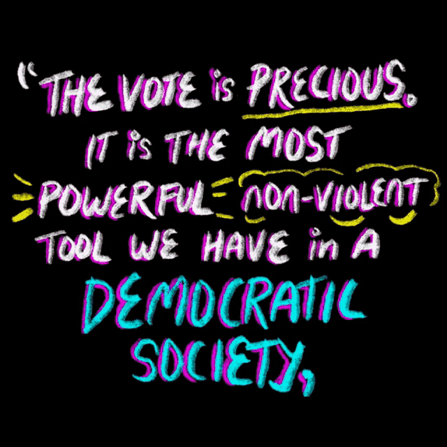 the vote is precious it is the most powerful non-violent tool we have in a democratic society .