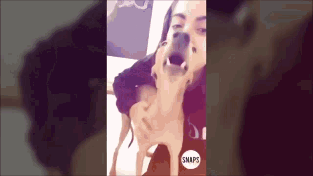 Anitta Plinio GIF - Anitta Plinio Dog GIFs