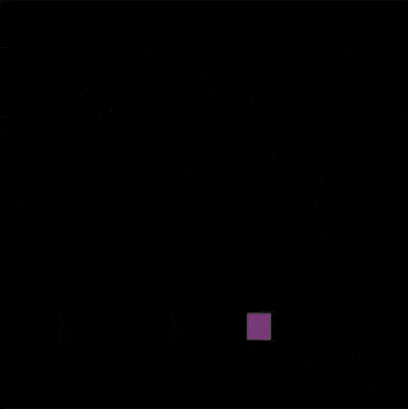 a black bird with a purple square in the middle of it
