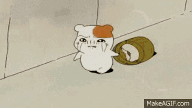 a hamster is crying with tears running down its face .