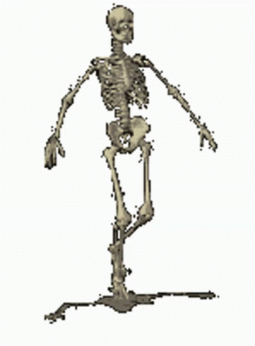 Skeleton Running GIF - Skeleton Running GIFs