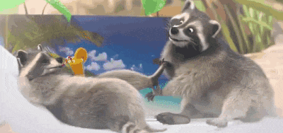 two raccoons are sitting next to each other on a beach and playing with each other .